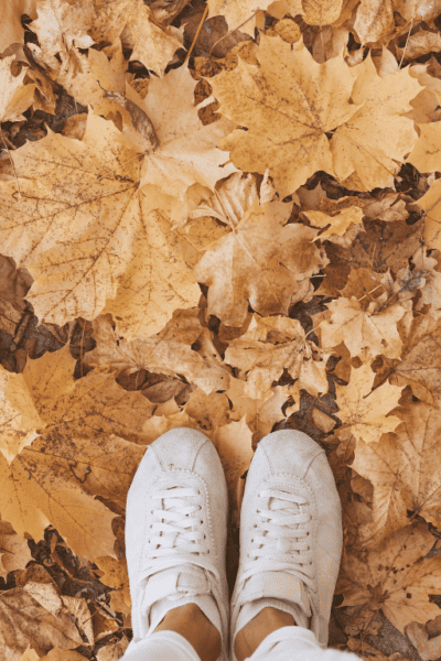 Autumn-leaves-slow.living